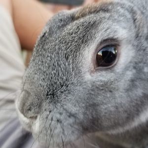 Meet your Posher, Wayne